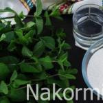 Мятный сироп - состав, применение и как его сделать Мятный сироп в домашних условиях